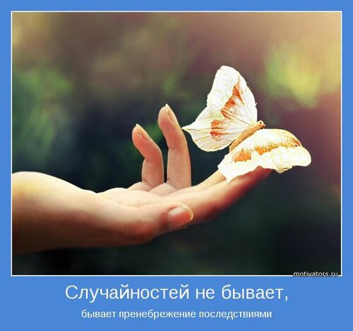84317318_motivator3.jpg