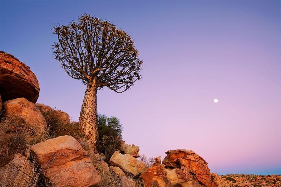 Namibia13   